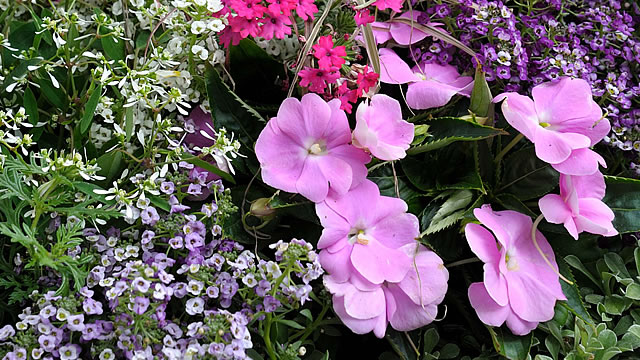 Friedhof in Wiesbaden